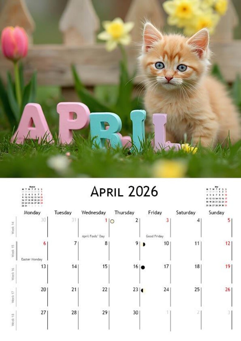 2026 Kitten Calendar | ENGLISH | DOWNLOADABLE PDF | Adorable Kittens. Perfect gift for kitten lovers