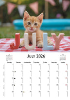 2026 Kitten Calendar | ENGLISH | DOWNLOADABLE PDF | Adorable Kittens. Perfect gift for kitten lovers