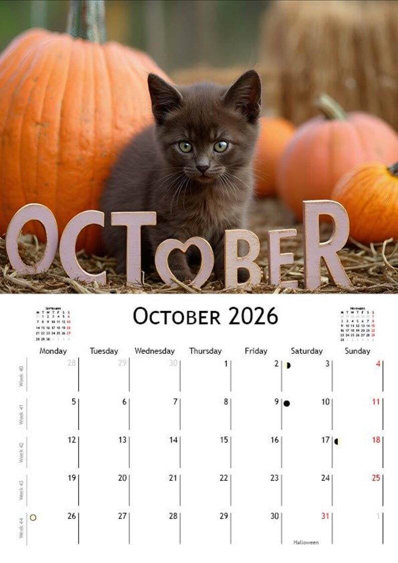 2026 Kitten Calendar | ENGLISH | DOWNLOADABLE PDF | Adorable Kittens. Perfect gift for kitten lovers