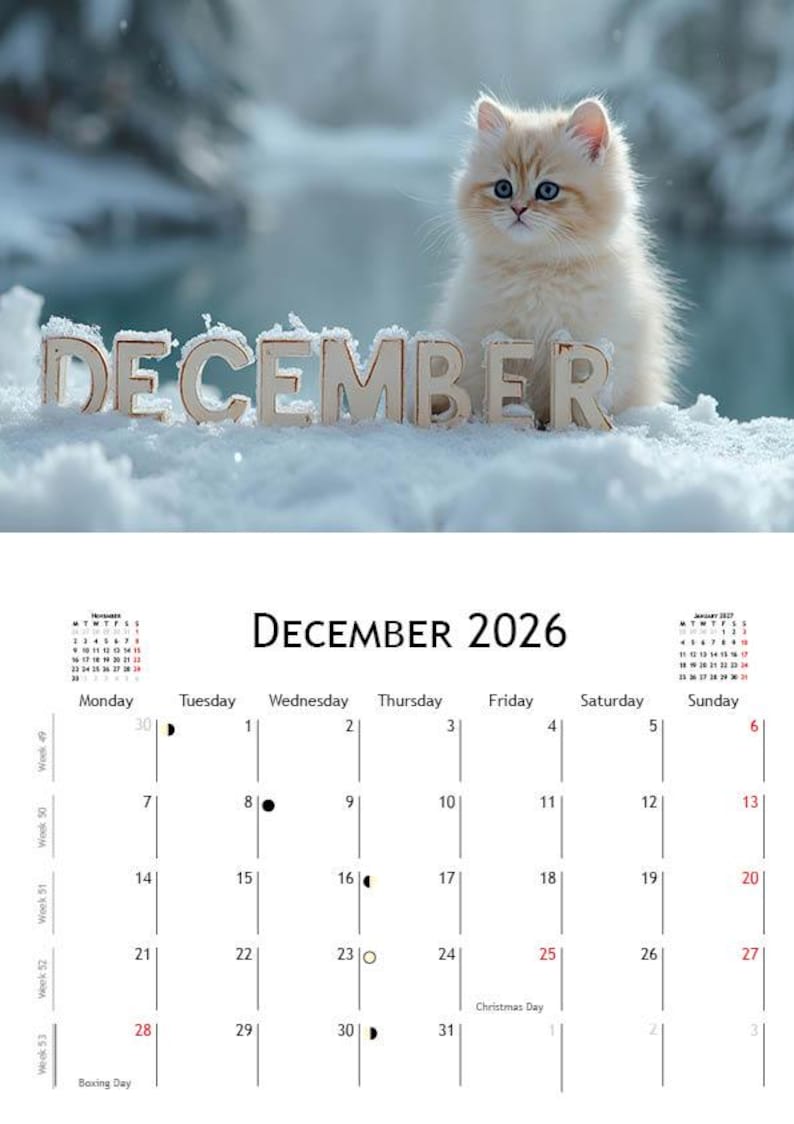 2026 Kitten Calendar | ENGLISH | DOWNLOADABLE PDF | Adorable Kittens. Perfect gift for kitten lovers