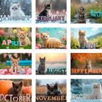 2026 Kitten Calendar | ENGLISH | DOWNLOADABLE PDF | Adorable Kittens. Perfect gift for kitten lovers