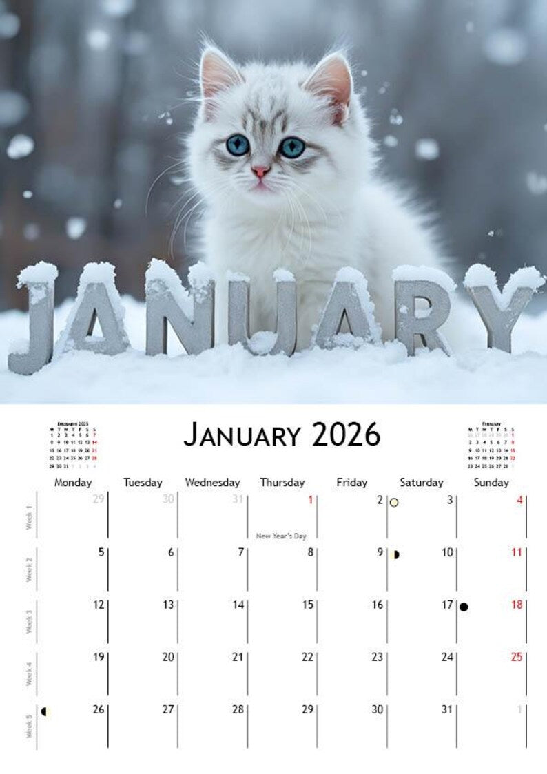 2026 Kitten Calendar | ENGLISH | DOWNLOADABLE PDF | Adorable Kittens. Perfect gift for kitten lovers
