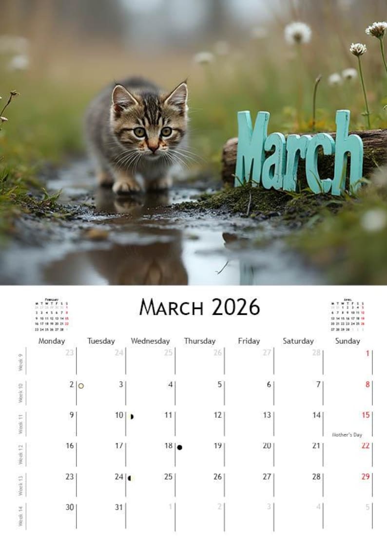 2026 Kitten Calendar | ENGLISH | DOWNLOADABLE PDF | Adorable Kittens. Perfect gift for kitten lovers