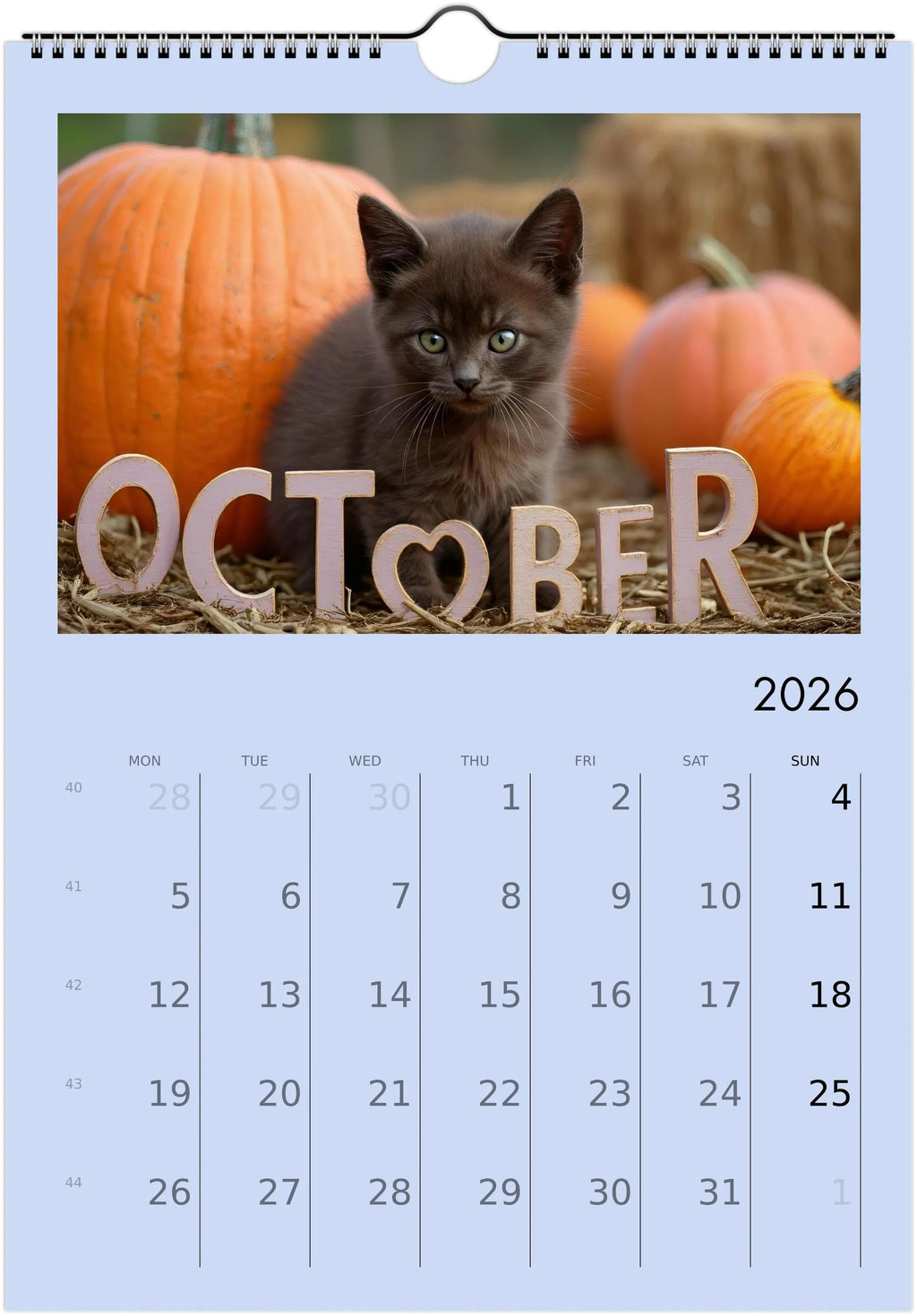 Cute Kittens 2026 Calendar 😻 | ENGLISH | Cute Kittens Perfect Gift for Kitten Lovers