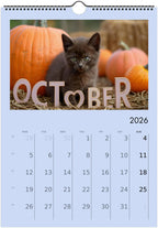 Cute Kittens 2026 Calendar 😻 | ENGLISH | Cute Kittens Perfect Gift for Kitten Lovers