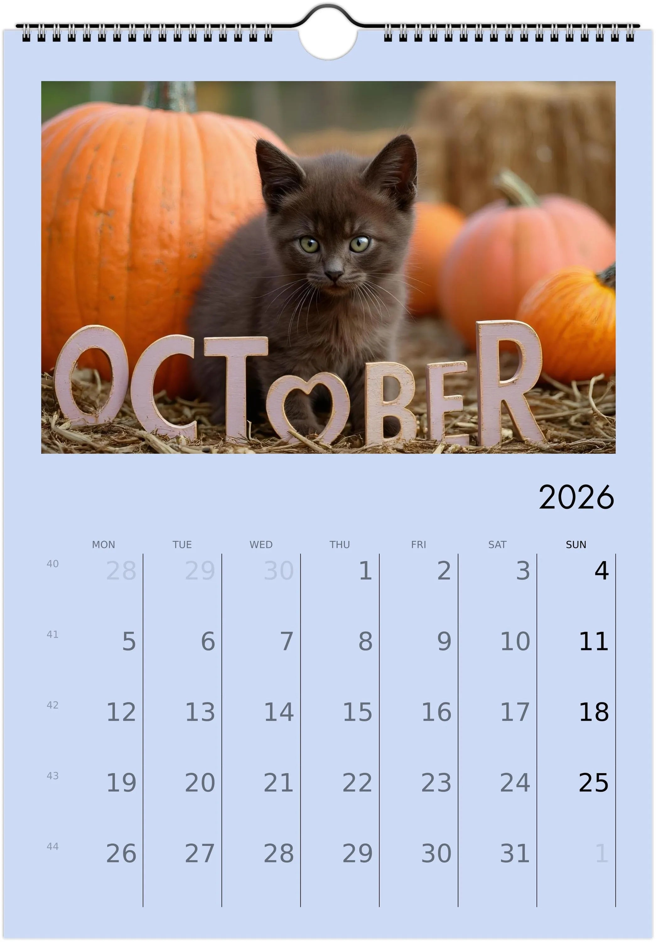 Cute Kittens 2026 Calendar 😻 | ENGLISH | Cute Kittens Perfect Gift for Kitten Lovers