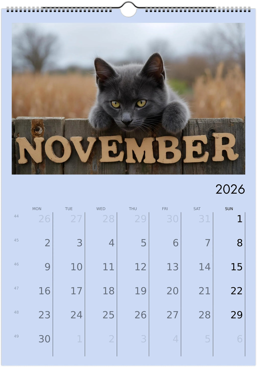 Cute Kittens 2026 Calendar 😻 | ENGLISH | Cute Kittens Perfect Gift for Kitten Lovers
