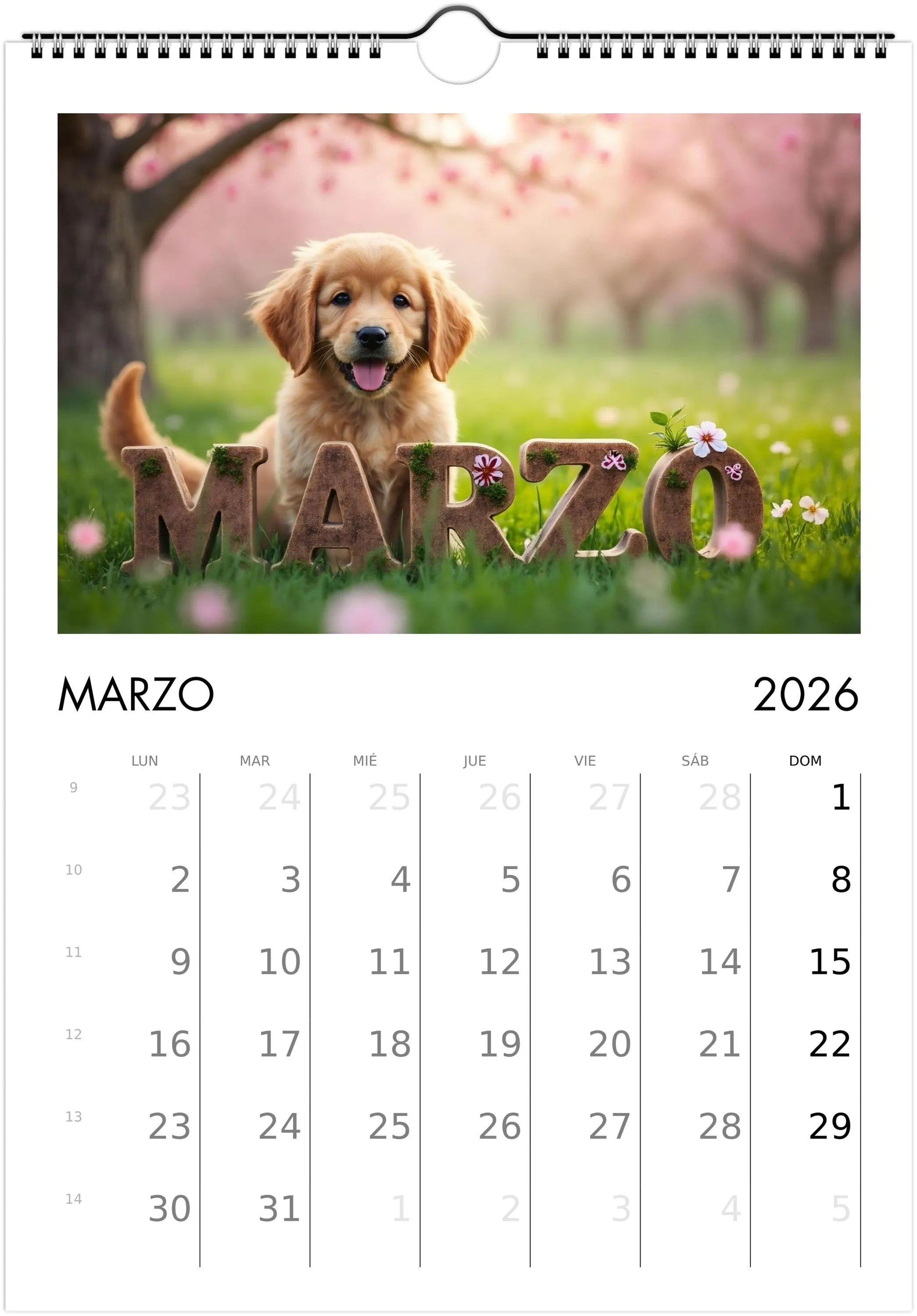 2026 Cute Puppies Calendar 🐶 | ENGLISH | Beautiful Dog Calendar A4/A3 | Gift for Dog Lovers | Decorative Cute Puppies 2026 Calendar
