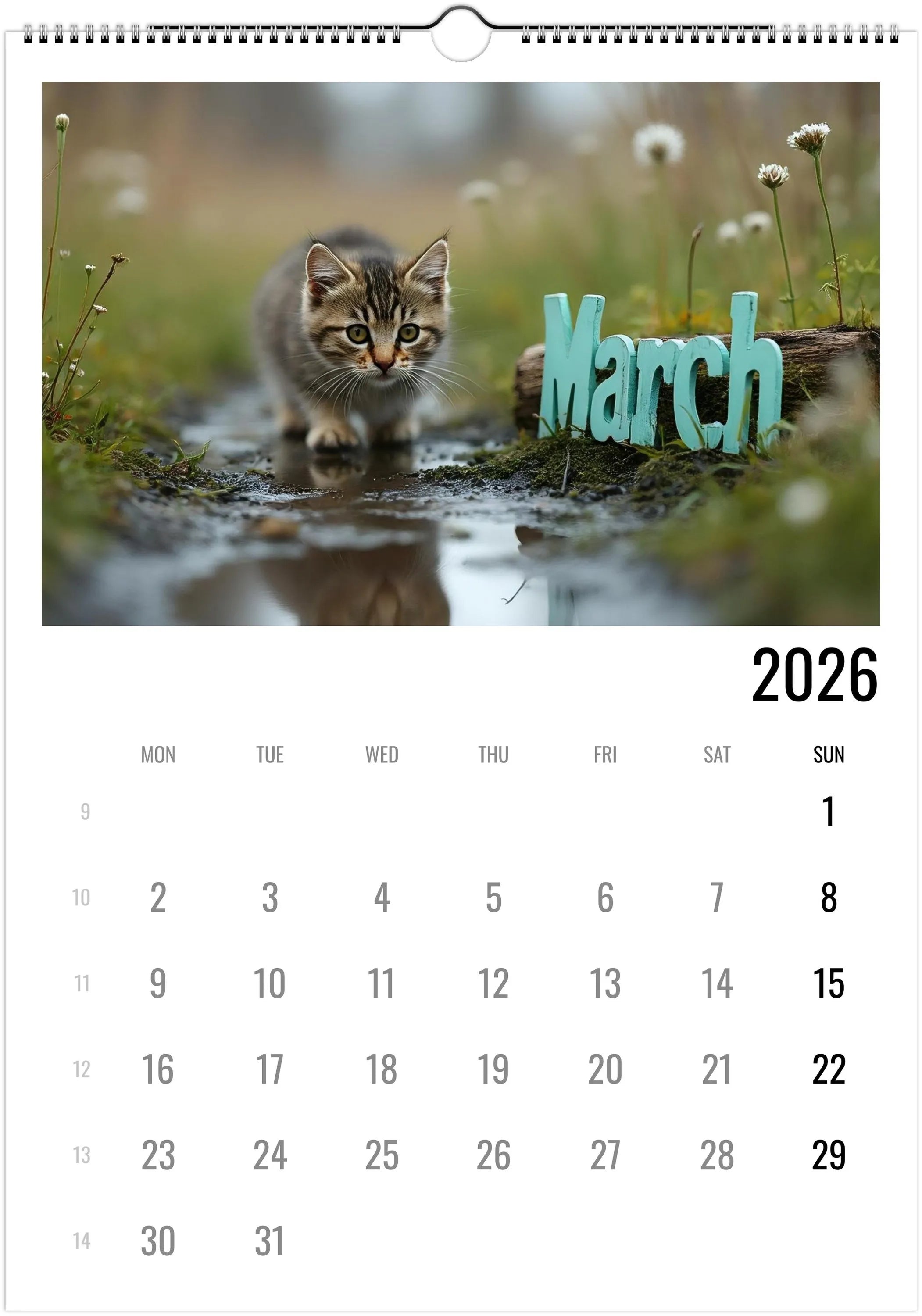 Cute Kittens 2026 Calendar 😻 | ENGLISH | Cute Kittens Perfect Gift for Kitten Lovers