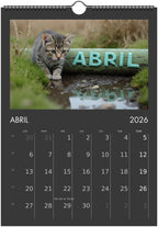 Minino Calendar 2026 😻 | SPANISH | Cute Kittens Perfect Gift for Cat Lovers