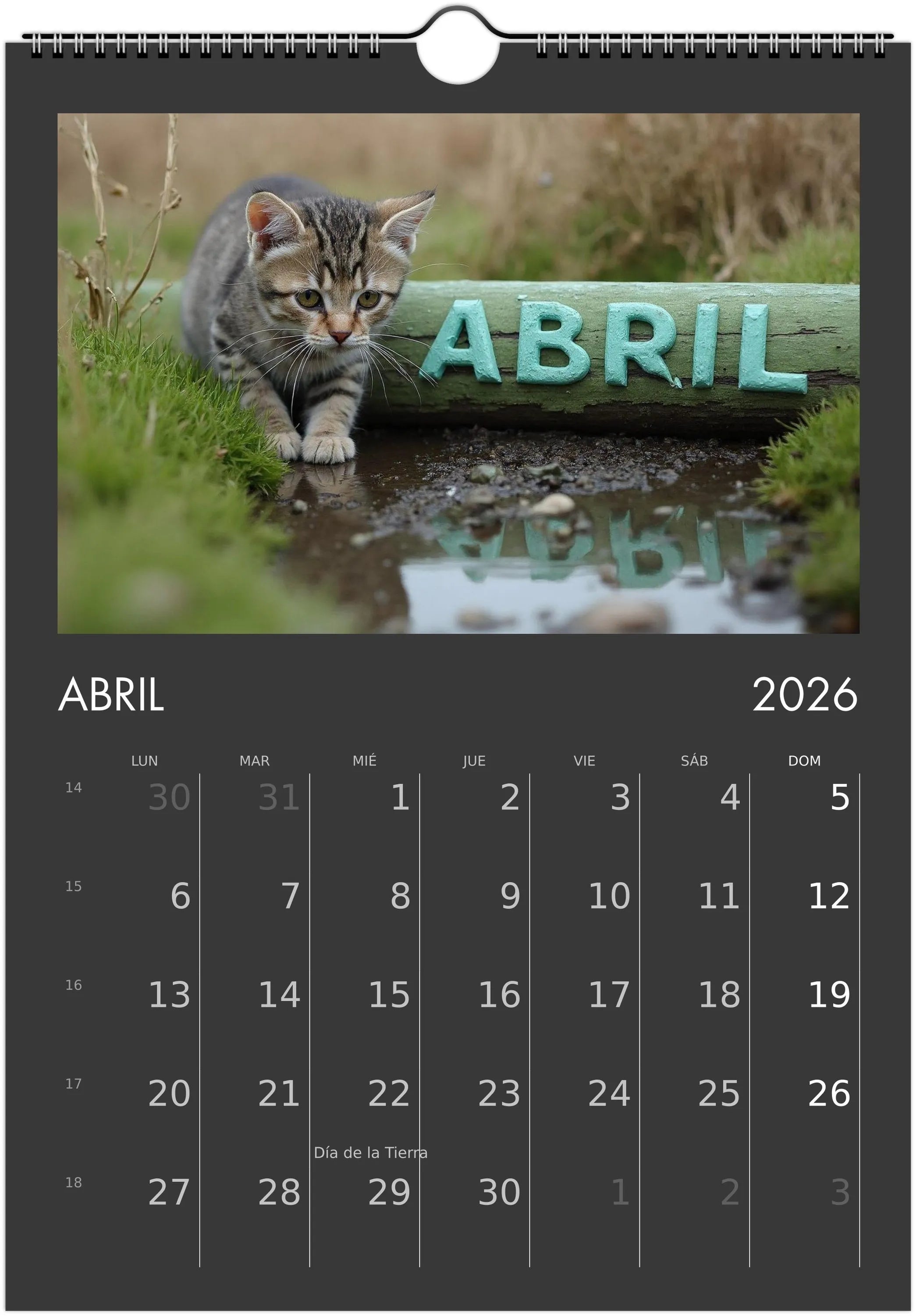 Minino Calendar 2026 😻 | SPANISH | Cute Kittens Perfect Gift for Cat Lovers