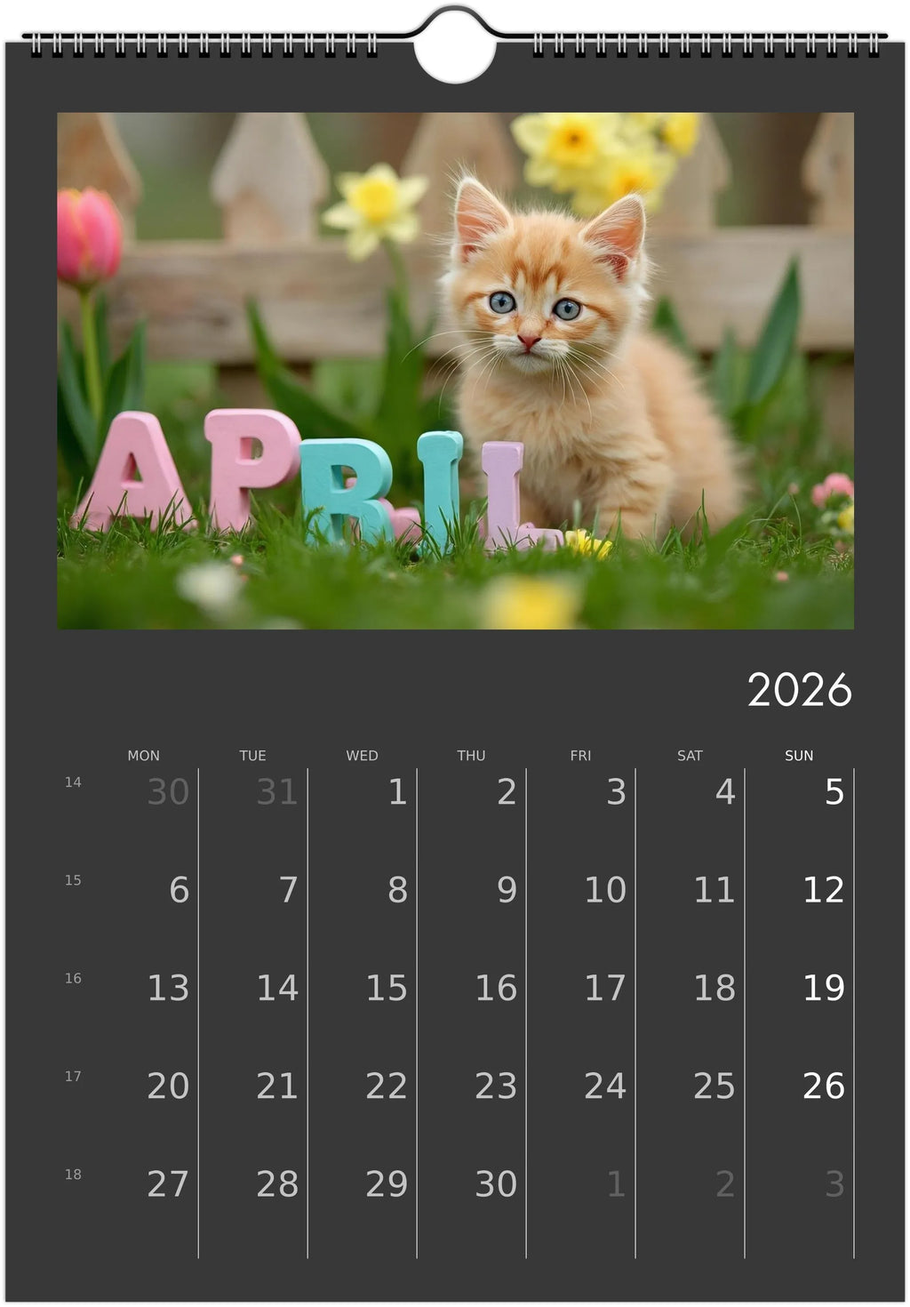 Cute Kittens 2026 Calendar 😻 | ENGLISH | Cute Kittens Perfect Gift for Kitten Lovers