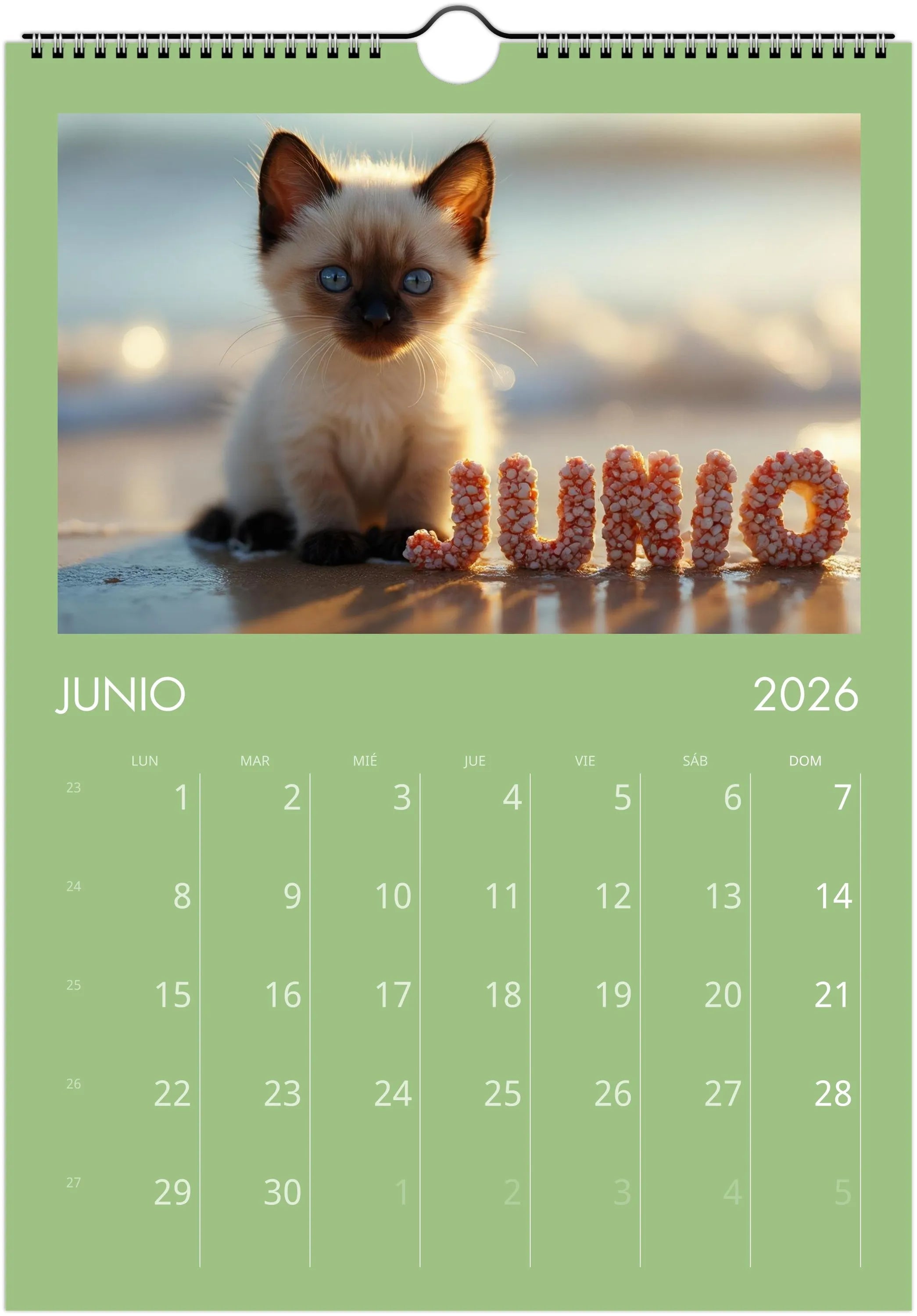 Minino Calendar 2026 😻 | SPANISH | Cute Kittens Perfect Gift for Cat Lovers