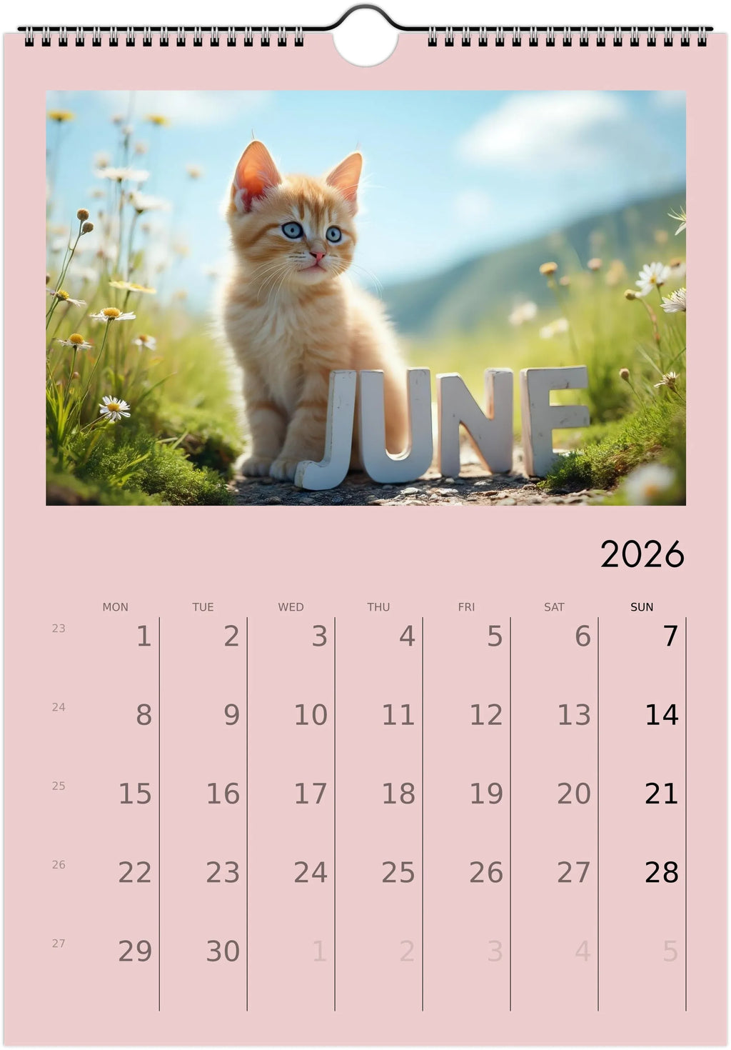 Cute Kittens 2026 Calendar 😻 | ENGLISH | Cute Kittens Perfect Gift for Kitten Lovers